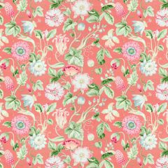 Stout Obtuse Coral 2 Rainbow Library Collection Multipurpose Fabric