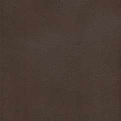 Stout Odean Java 1 Leather Looks Collection Upholstery Fabric