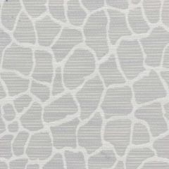Stout Odyssey Dove 2 No Limits Collection Upholstery Fabric