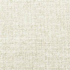 Stout Olsen Ivory 7 Put It In Neutral Collection Multipurpose Fabric