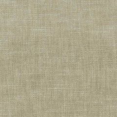 Stout Orwin Driftwood 16 A La Mode Collection Multipurpose Fabric