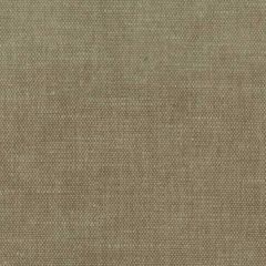 Stout Orwin Sandstone 19 A La Mode Collection Multipurpose Fabric