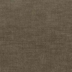 Stout Orwin Bran 30 A La Mode Collection Multipurpose Fabric