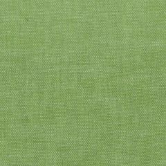 Stout Orwin Apple 9 A La Mode Collection Multipurpose Fabric