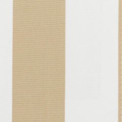 Stout Patmore Beige 2 Endless Opportunity Collection Upholstery Fabric