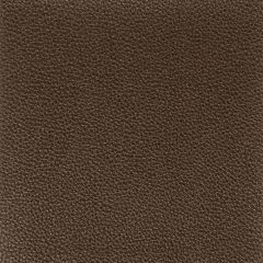 Stout Pitcher Espresso 2 Leather Looks Collection Upholstery Fabric