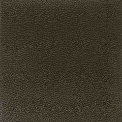 Stout Pitcher Onyx 3 Leather Looks Collection Upholstery Fabric