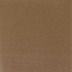 Stout Pitcher Bark 4 Leather Looks Collection Upholstery Fabric