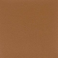 Stout Pitcher Saddle 7 Leather Looks Collection Upholstery Fabric