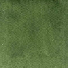 Stout Premier Grass 9 Living Is Easy Collection Upholstery Fabric