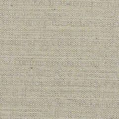 Stout Privilege Aloe 6 Temptation II Drapery Textures Collection Drapery Fabric