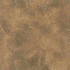 Stout Radnor Truffle 2 Leather Looks Collection Upholstery Fabric