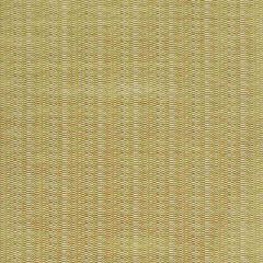 Stout Remus Antique 6 Kai Peninsula Collection Upholstery Fabric