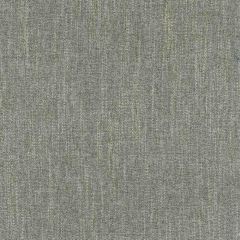 Stout Research Carbon 1 Living Is Easy Collection Upholstery Fabric