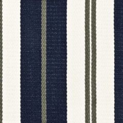 Stout Rikerson Indigo 1 Comfortable Living Collection Multipurpose Fabric