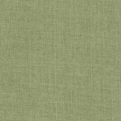 Stout Rivalry Sage 1 Living Is Easy Collection Upholstery Fabric