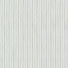 Stout Sagittarius Platinum 1 Daydreams Collection Drapery Fabric