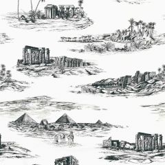 Scalamandre Cairo Toile Ink SC 000116635 Sahara Collection Multipurpose Fabric