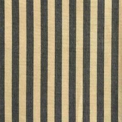 Scalamandre Directoire Iron Grey & Beige SC 00011908MM Multipurpose Fabric