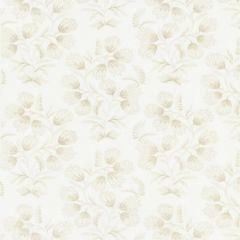 Scalamandre Hana Embroidery Oat SC 000127233 Pacifica Collection Multipurpose Fabric