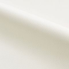 Scalamandre Lucille - Outdoor Cotton SC 000127258 Fundamentals - Contract Collection Upholstery Fabric