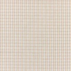 Scalamandre Check Please - Outdoor Birch SC 000127318 Coast To Coast Collection Upholstery Fabric