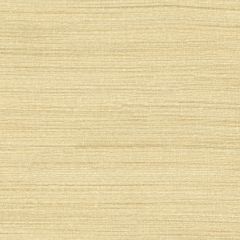 Scalamandre Less Beige SC 000136334 Multipurpose Fabric