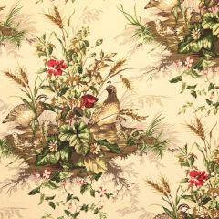 Scalamandre Edwin'S Covey Linen Print Multi On Sisal SC 000216310 Multipurpose Fabric