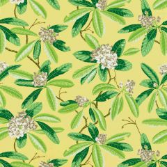Scalamandre Rhododendron - Outdoor Pineapple SC 000216454M Coast To Coast Collection Upholstery Fabric