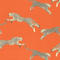 Scalamandre Leaping Cheetah Cotton Print Clementine SC 000216634 Sahara Collection Multipurpose Fabric