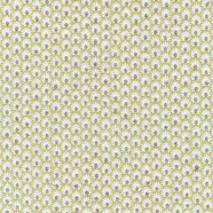 Scalamandre Fleur Embroidery Celery SC 000227123 Botanica Collection Multipurpose Fabric