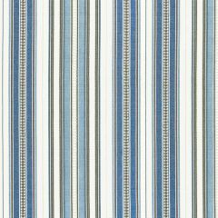 Scalamandre Nile Stripe Blue Jay SC 000227253 Sahara Collection Multipurpose Fabric