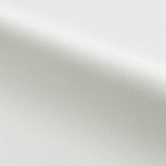 Scalamandre Lucille - Outdoor Moon SC 000227258 Fundamentals - Contract Collection Upholstery Fabric
