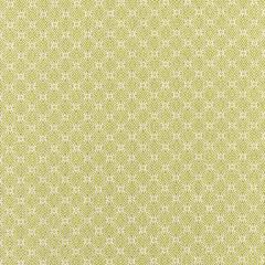 Scalamandre Cape May Key Lime SC 000227317 Coast To Coast Collection Upholstery Fabric