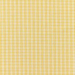 Scalamandre Check Please - Outdoor Goldenrod SC 000227318 Coast To Coast Collection Upholstery Fabric