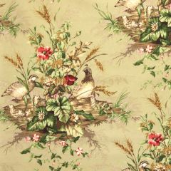 Scalamandre Edwin'S Covey Linen Print Multi On Willow SC 000316310 Multipurpose Fabric