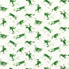 Scalamandre Calabasas County - Outdoor Snap Pea SC 000316426M Coast To Coast Collection Upholstery Fabric