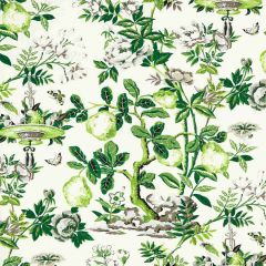 Scalamandre Shantung Garden Cotton Print Verdance SC 000316583 Jardin Collection Multipurpose Fabric