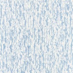 Scalamandre Sequoia Linen Print Sky SC 000316599 Modern Luxury Collection Multipurpose Fabric