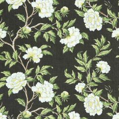 Scalamandre Peonia Linen Print Onyx SC 000316616 Calabria Collection Multipurpose Fabric