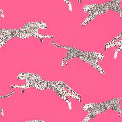 Scalamandre Leaping Cheetah Cotton Print Bubblegum SC 000316634 Sahara Collection Multipurpose Fabric