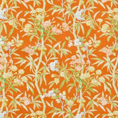 Scalamandre Lanai - Outdoor Guava SC 000316638 Coast To Coast Collection Upholstery Fabric