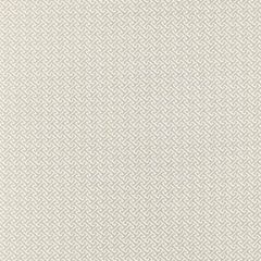 Scalamandre Mandarin Weave Fog SC 000327102 Merchante Collection Multipurpose Fabric