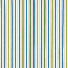 Scalamandre Leeds Cotton Stripe Ocean Palm SC 000327114 Chatham Stripes & Plaids Collection Multipurpose Fabric