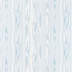 Scalamandre Faux Bois Weave Blue Ice SC 000327142 Modern Luxury Collection Multipurpose Fabric