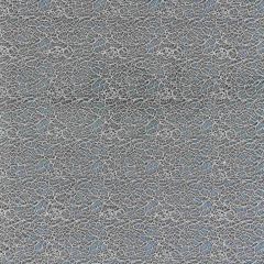 Scalamandre Modern Lace Fog SC 000327146 Modern Luxury Collection Drapery Fabric