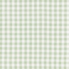 Scalamandre Swedish Linen Check Willow SC 000327166 Norden Collection Multipurpose Fabric