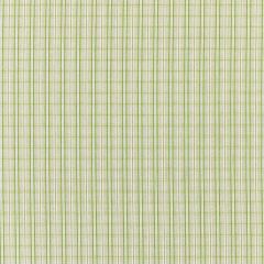 Scalamandre Check Please - Outdoor Fern SC 000327318 Coast To Coast Collection Upholstery Fabric