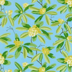 Scalamandre Rhododendron - Outdoor Carolina SC 000416454M Coast To Coast Collection Upholstery Fabric