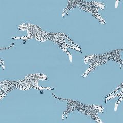 Scalamandre Leaping Cheetah Cotton Print Cloud Nine SC 000416634 Sahara Collection Multipurpose Fabric